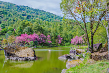 Obraz Dovolenka pri jazere 1412